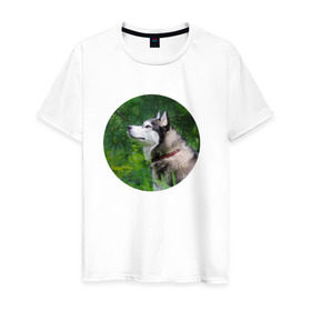 Мужская футболка хлопок с принтом Хаски в Санкт-Петербурге, 100% хлопок | прямой крой, круглый вырез горловины, длина до линии бедер, слегка спущенное плечо. | dog | husky | собака | хаски | щенок