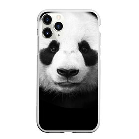 Чехол для iPhone 11 Pro матовый с принтом Панда в Санкт-Петербурге, Силикон |  | панда