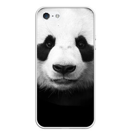 Чехол для iPhone 5/5S матовый с принтом Панда в Санкт-Петербурге, Силикон | Область печати: задняя сторона чехла, без боковых панелей | панда