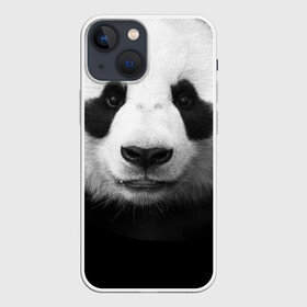 Чехол для iPhone 13 mini с принтом Панда в Санкт-Петербурге,  |  | панда