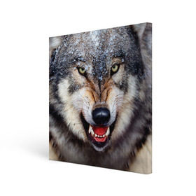Холст квадратный с принтом Волк в Санкт-Петербурге, 100% ПВХ |  | волк | животные | злой волк | зубы | оскал