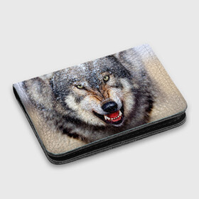 Картхолдер с принтом с принтом Волк в Санкт-Петербурге, натуральная матовая кожа | размер 7,3 х 10 см; кардхолдер имеет 4 кармана для карт; | Тематика изображения на принте: волк | животные | злой волк | зубы | оскал