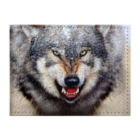 Обложка для студенческого билета с принтом Волк в Санкт-Петербурге, натуральная кожа | Размер: 11*8 см; Печать на всей внешней стороне | Тематика изображения на принте: волк | животные | злой волк | зубы | оскал