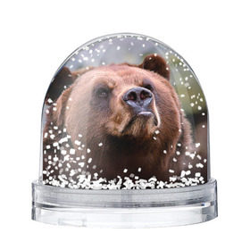 Водяной шар с принтом Медведь в Санкт-Петербурге, Пластик | Изображение внутри шара печатается на глянцевой фотобумаге с двух сторон | бурый | гризли | животные | медведь | мишка