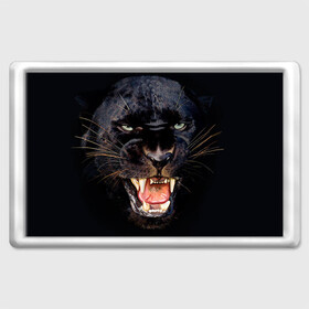 Магнит 45*70 с принтом Пантера в Санкт-Петербурге, Пластик | Размер: 78*52 мм; Размер печати: 70*45 | Тематика изображения на принте: животные | зубы | киса | киска | кошка | оскал | пантера