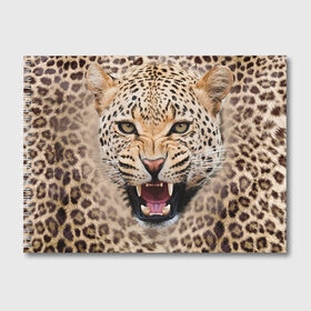 Альбом для рисования с принтом Леопард в Санкт-Петербурге, 100% бумага
 | матовая бумага, плотность 200 мг. | животные | зубы | киса | киска | кошка | леопард | оскал