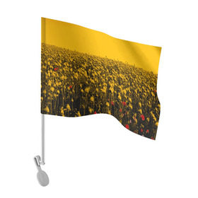 Флаг для автомобиля с принтом Wu-Tang Clan в Санкт-Петербурге, 100% полиэстер | Размер: 30*21 см | хип хоп