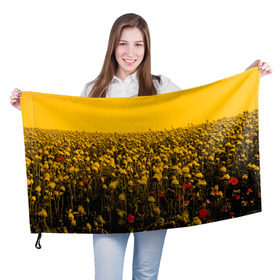 Флаг 3D с принтом Wu-Tang Clan в Санкт-Петербурге, 100% полиэстер | плотность ткани — 95 г/м2, размер — 67 х 109 см. Принт наносится с одной стороны | хип хоп