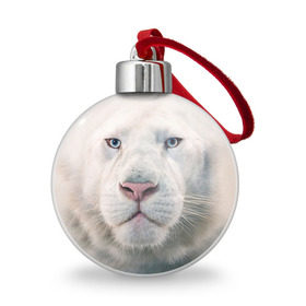 Ёлочный шар с принтом Белый лев в Санкт-Петербурге, Пластик | Диаметр: 77 мм | белый лев | животные | лев