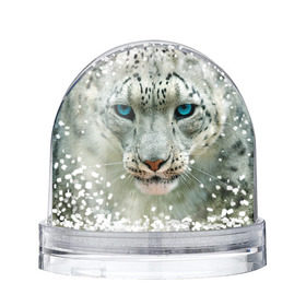 Снежный шар с принтом Снежный барс в Санкт-Петербурге, Пластик | Изображение внутри шара печатается на глянцевой фотобумаге с двух сторон | барс | животные | кошка | снежный барс