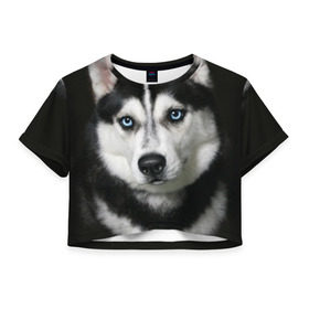 Женская футболка 3D укороченная с принтом Хаски в Санкт-Петербурге, 100% полиэстер | круглая горловина, длина футболки до линии талии, рукава с отворотами | животные | собака | хаски