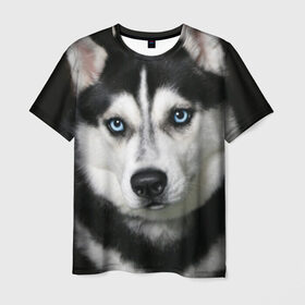 Мужская футболка 3D с принтом Хаски в Санкт-Петербурге, 100% полиэфир | прямой крой, круглый вырез горловины, длина до линии бедер | животные | собака | хаски
