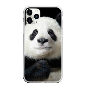 Чехол для iPhone 11 Pro матовый с принтом Панда в Санкт-Петербурге, Силикон |  | панда