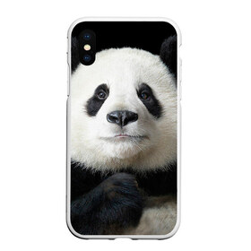 Чехол для iPhone XS Max матовый с принтом Панда в Санкт-Петербурге, Силикон | Область печати: задняя сторона чехла, без боковых панелей | панда