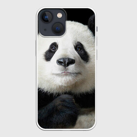 Чехол для iPhone 13 mini с принтом Панда в Санкт-Петербурге,  |  | панда