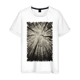 Мужская футболка хлопок с принтом Мрачный лес в Санкт-Петербурге, 100% хлопок | прямой крой, круглый вырез горловины, длина до линии бедер, слегка спущенное плечо. | 