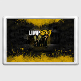 Магнит 45*70 с принтом Limp Bizkit в Санкт-Петербурге, Пластик | Размер: 78*52 мм; Размер печати: 70*45 | bizkit | limp | limp bizkit | бизкит | лимп | лимп бизкит | лимпбизкит | рок