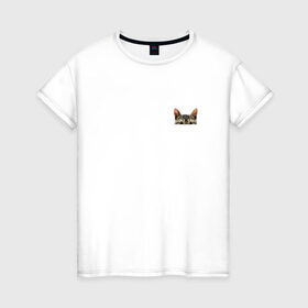 Женская футболка хлопок с принтом Кот в кармашке в Санкт-Петербурге, 100% хлопок | прямой крой, круглый вырез горловины, длина до линии бедер, слегка спущенное плечо | Тематика изображения на принте: в кармане | киса | кот | коты | кошки | подглядывающий