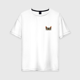 Женская футболка хлопок Oversize с принтом Кот в кармашке в Санкт-Петербурге, 100% хлопок | свободный крой, круглый ворот, спущенный рукав, длина до линии бедер
 | в кармане | киса | кот | коты | кошки | подглядывающий