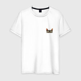 Мужская футболка хлопок с принтом Кот в кармашке в Санкт-Петербурге, 100% хлопок | прямой крой, круглый вырез горловины, длина до линии бедер, слегка спущенное плечо. | в кармане | киса | кот | коты | кошки | подглядывающий