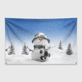 Флаг-баннер с принтом Снеговик в Санкт-Петербурге, 100% полиэстер | размер 67 х 109 см, плотность ткани — 95 г/м2; по краям флага есть четыре люверса для крепления | 2016 | winter | год | зима | мартышка | новогодний | новый | обезьяна | обезьянка | подарок | с новым годом | снег | снеговик