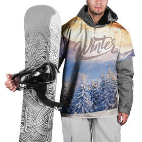 Накидка на куртку 3D с принтом Winter в Санкт-Петербурге, 100% полиэстер |  | зима | пейзвж | снег