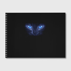 Альбом для рисования с принтом Кошка с голубыми глазами в Санкт-Петербурге, 100% бумага
 | матовая бумага, плотность 200 мг. | Тематика изображения на принте: глаза | кот | синий
