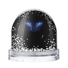 Водяной шар с принтом Кошка с голубыми глазами в Санкт-Петербурге, Пластик | Изображение внутри шара печатается на глянцевой фотобумаге с двух сторон | Тематика изображения на принте: глаза | кот | синий