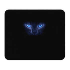 Коврик прямоугольный с принтом Кошка с голубыми глазами в Санкт-Петербурге, натуральный каучук | размер 230 х 185 мм; запечатка лицевой стороны | Тематика изображения на принте: глаза | кот | синий