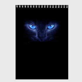 Скетчбук с принтом Кошка с голубыми глазами в Санкт-Петербурге, 100% бумага
 | 48 листов, плотность листов — 100 г/м2, плотность картонной обложки — 250 г/м2. Листы скреплены сверху удобной пружинной спиралью | Тематика изображения на принте: глаза | кот | синий