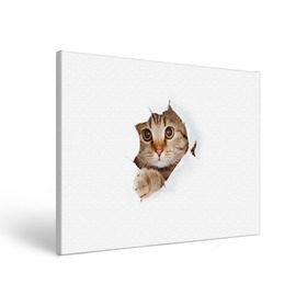 Холст прямоугольный с принтом Котик в Санкт-Петербурге, 100% ПВХ |  | Тематика изображения на принте: кот | котенок | котик | кошка | милый