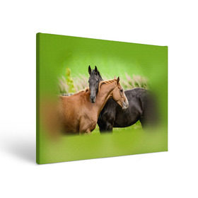 Холст прямоугольный с принтом Лошади 2 в Санкт-Петербурге, 100% ПВХ |  | horse | horseshoe | акварель | головалошади | грива | единорог | жеребец | животные | конь | лошадь | лошадьскрыльями | подкова | природа | рисуноккрасками
