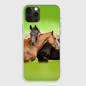 Чехол для iPhone 12 Pro Max с принтом Лошади 2 в Санкт-Петербурге, Силикон |  | horse | horseshoe | акварель | головалошади | грива | единорог | жеребец | животные | конь | лошадь | лошадьскрыльями | подкова | природа | рисуноккрасками