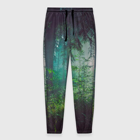 Мужские брюки 3D с принтом Таинственный лес в Санкт-Петербурге, 100% полиэстер | манжеты по низу, эластичный пояс регулируется шнурком, по бокам два кармана без застежек, внутренняя часть кармана из мелкой сетки | деревья | зелень | на макете изображен таинственный зеленый леслес