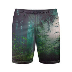 Мужские шорты 3D спортивные с принтом Таинственный лес в Санкт-Петербурге,  |  | Тематика изображения на принте: деревья | зелень | на макете изображен таинственный зеленый леслес