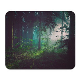 Коврик прямоугольный с принтом Таинственный лес в Санкт-Петербурге, натуральный каучук | размер 230 х 185 мм; запечатка лицевой стороны | деревья | зелень | на макете изображен таинственный зеленый леслес
