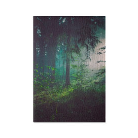 Обложка для паспорта матовая кожа с принтом Таинственный лес в Санкт-Петербурге, натуральная матовая кожа | размер 19,3 х 13,7 см; прозрачные пластиковые крепления | Тематика изображения на принте: деревья | зелень | на макете изображен таинственный зеленый леслес
