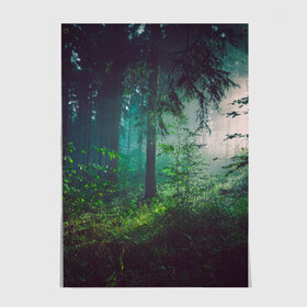Постер с принтом Таинственный лес в Санкт-Петербурге, 100% бумага
 | бумага, плотность 150 мг. Матовая, но за счет высокого коэффициента гладкости имеет небольшой блеск и дает на свету блики, но в отличии от глянцевой бумаги не покрыта лаком | Тематика изображения на принте: деревья | зелень | на макете изображен таинственный зеленый леслес