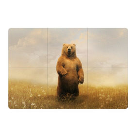 Магнитный плакат 3Х2 с принтом Медведь в поле в Санкт-Петербурге, Полимерный материал с магнитным слоем | 6 деталей размером 9*9 см | bear | медведь | одуванчики | русский медведь в чистом русском поле мечта патриотаполе | сено