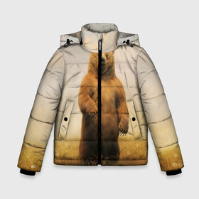 Зимняя куртка для мальчиков 3D с принтом Медведь в поле в Санкт-Петербурге, ткань верха — 100% полиэстер; подклад — 100% полиэстер, утеплитель — 100% полиэстер | длина ниже бедра, удлиненная спинка, воротник стойка и отстегивающийся капюшон. Есть боковые карманы с листочкой на кнопках, утяжки по низу изделия и внутренний карман на молнии. 

Предусмотрены светоотражающий принт на спинке, радужный светоотражающий элемент на пуллере молнии и на резинке для утяжки | bear | медведь | одуванчики | русский медведь в чистом русском поле мечта патриотаполе | сено