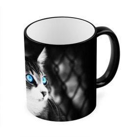 Кружка 3D с принтом Кот в Санкт-Петербурге, керамика | ёмкость 330 мл | Тематика изображения на принте: взгляд | глаза | голубые | кот