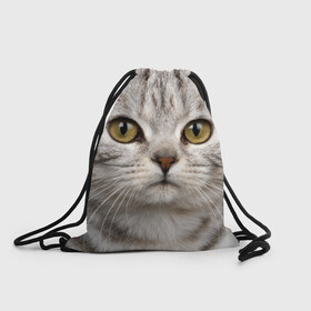 Рюкзак-мешок 3D с принтом Кот в Санкт-Петербурге, 100% полиэстер | плотность ткани — 200 г/м2, размер — 35 х 45 см; лямки — толстые шнурки, застежка на шнуровке, без карманов и подкладки | домашняя | животное | кот | котэ | кошка