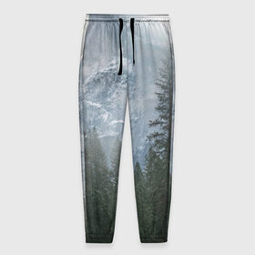 Мужские брюки 3D с принтом лес в Санкт-Петербурге, 100% полиэстер | манжеты по низу, эластичный пояс регулируется шнурком, по бокам два кармана без застежек, внутренняя часть кармана из мелкой сетки | лес | мгла | мрачность | темнота | туман