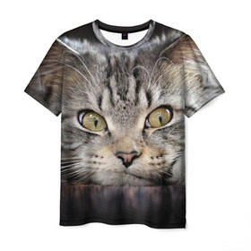 Мужская футболка 3D с принтом Кот в Санкт-Петербурге, 100% полиэфир | прямой крой, круглый вырез горловины, длина до линии бедер | домашняя | животное | кот | котэ | кошка