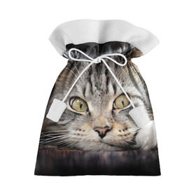 Подарочный 3D мешок с принтом Кот в Санкт-Петербурге, 100% полиэстер | Размер: 29*39 см | домашняя | животное | кот | котэ | кошка