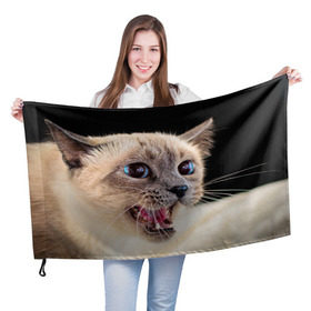 Флаг 3D с принтом Кот в Санкт-Петербурге, 100% полиэстер | плотность ткани — 95 г/м2, размер — 67 х 109 см. Принт наносится с одной стороны | домашняя | животное | кот | котэ | кошка