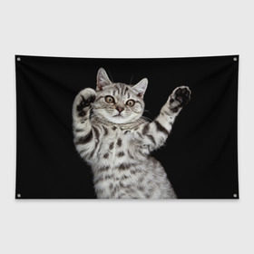 Флаг-баннер с принтом Кот в Санкт-Петербурге, 100% полиэстер | размер 67 х 109 см, плотность ткани — 95 г/м2; по краям флага есть четыре люверса для крепления | домашняя | животное | кот | котэ | кошка