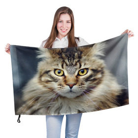 Флаг 3D с принтом Кот в Санкт-Петербурге, 100% полиэстер | плотность ткани — 95 г/м2, размер — 67 х 109 см. Принт наносится с одной стороны | домашняя | животное | кот | котэ | кошка