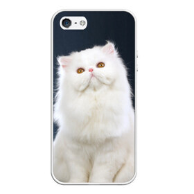 Чехол силиконовый для Телефон Apple iPhone 5/5S с принтом Кот в Санкт-Петербурге, Силикон | Область печати: задняя сторона чехла, без боковых панелей | Тематика изображения на принте: домашняя | животное | кот | котэ | кошка