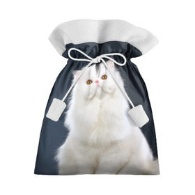 Подарочный 3D мешок с принтом Кот в Санкт-Петербурге, 100% полиэстер | Размер: 29*39 см | Тематика изображения на принте: домашняя | животное | кот | котэ | кошка